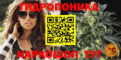 герыч Кинель